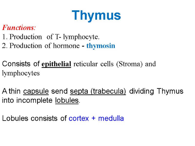 Thymus Functions: 1. Production  of T- lymphocyte.  2. Production of hormone -